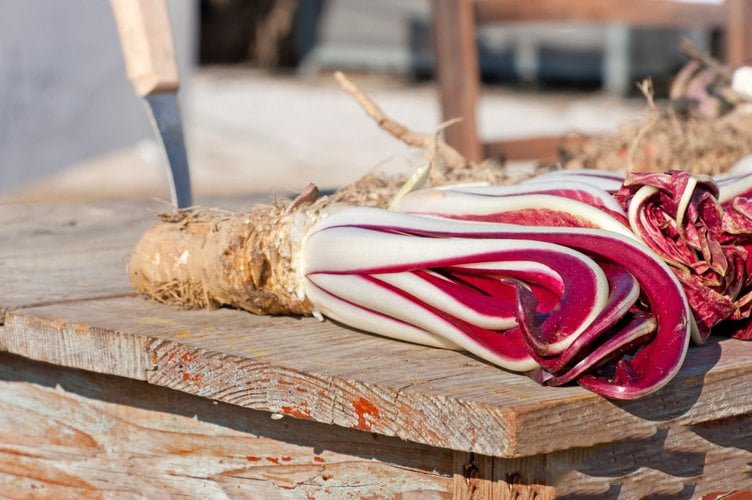 Karaciğer yağlanmasını önleyen besinler - 4