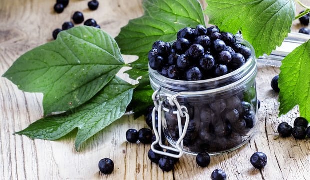 Vücuttaki iltihabı söküp atıyor - 5