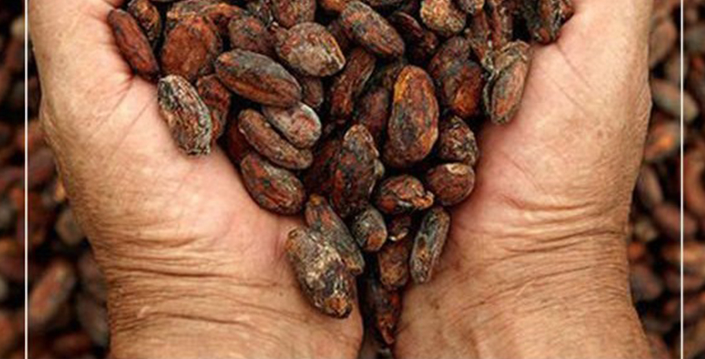 10 Gün Önce Ne Yediğinizi Bile Hatırlayacaksınız - 2