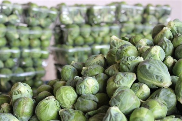 Karaciğeri Yenileyen 5 Besin - 4