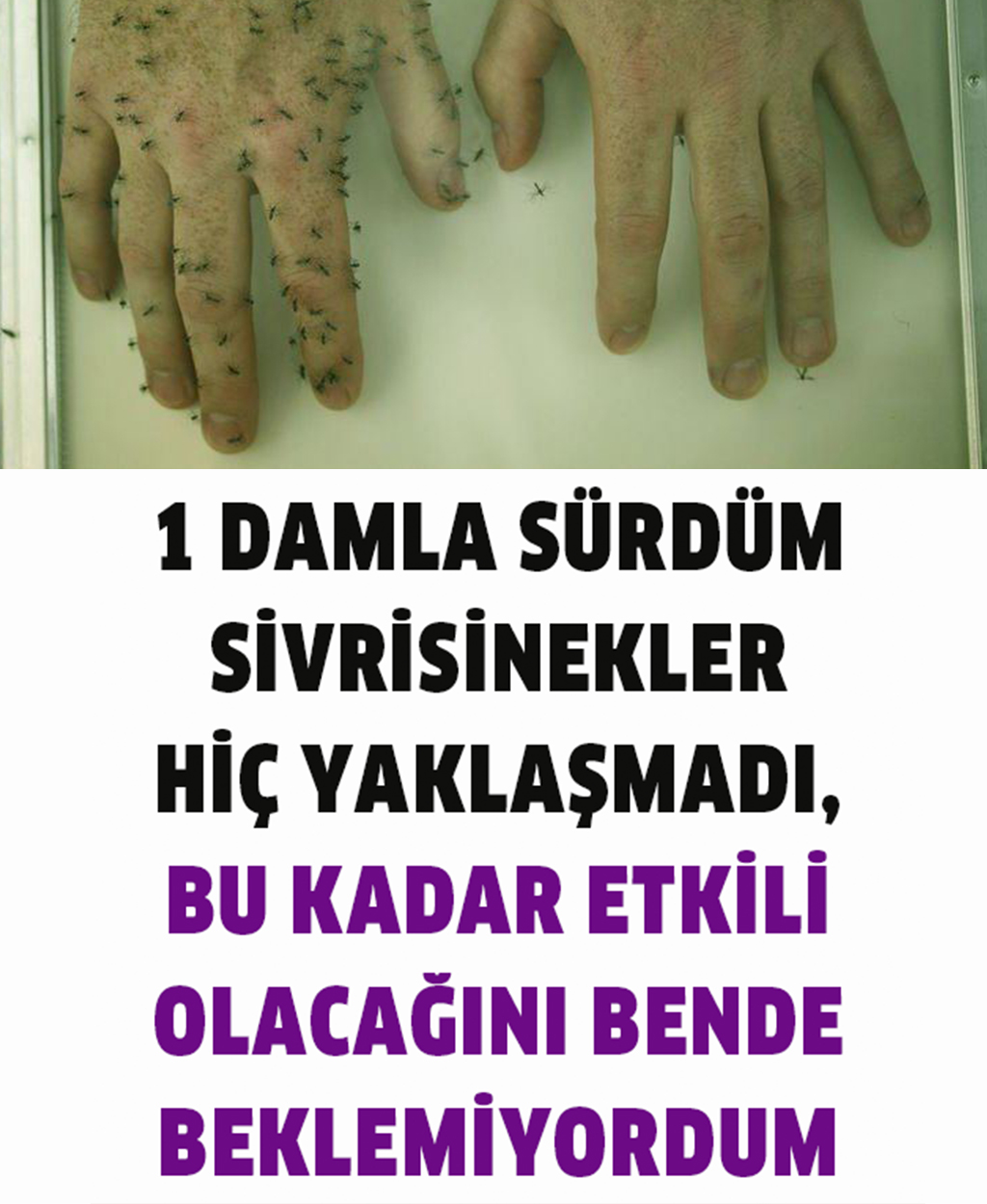 1 Damla Sürdüm Sivrisinekler Hiç Yaklaşamadı - 1