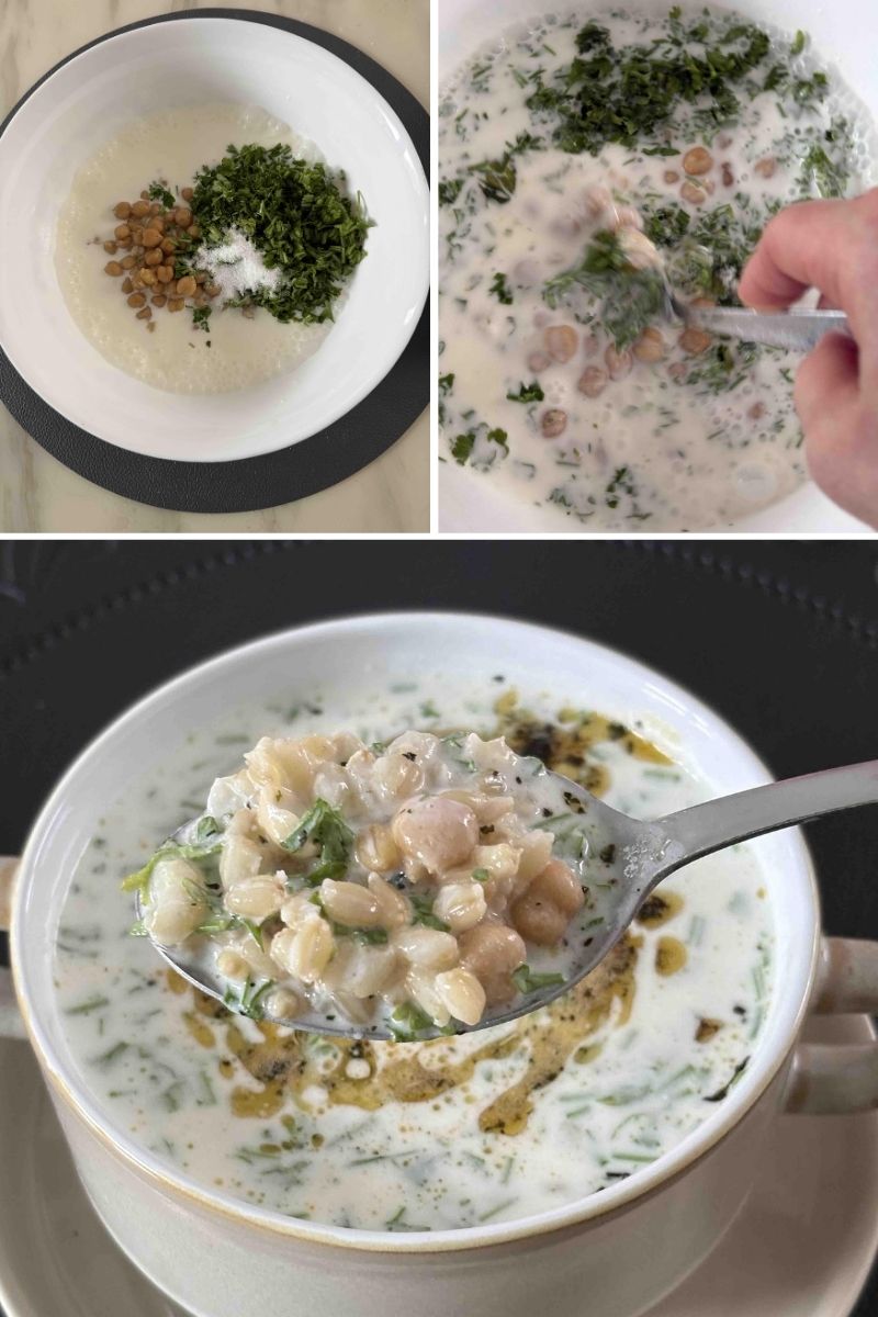 İçinizi Ferahlatacak Soğuk Çorba Tarifi - 2