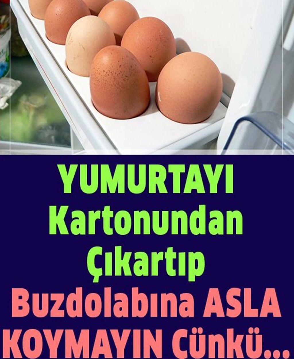 Yumurtayı kartonundan çıkarıp asla dolaba koymayın - 1
