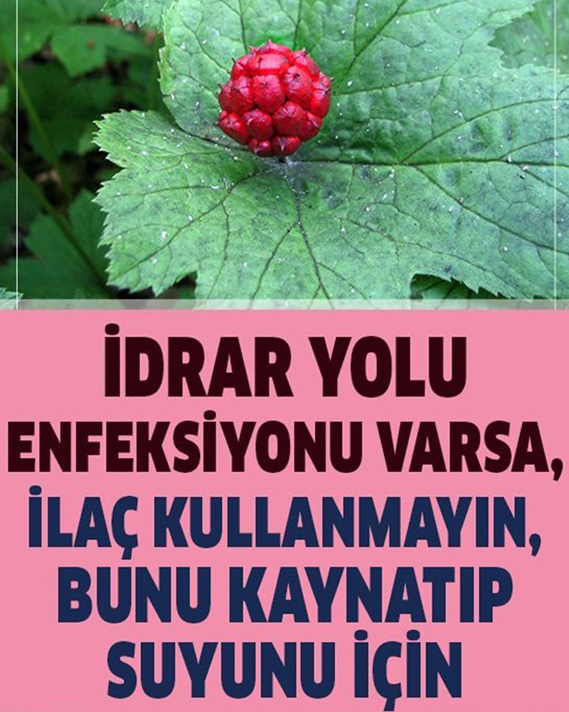 İdrar Yolu Enfeksiyonuna Konutta Natürel Çözüm, Kaynatıp Suyunu İçin - 1