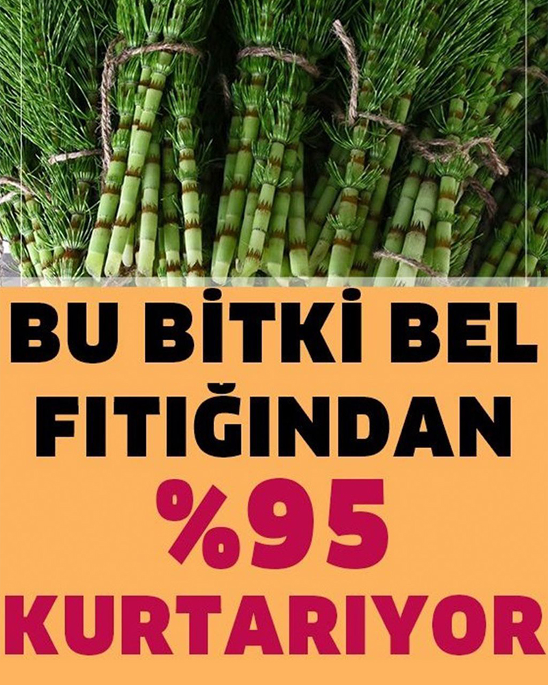 Tamamen Doğal Ürünlerle Bel Fıtığından Kurtulun - 1