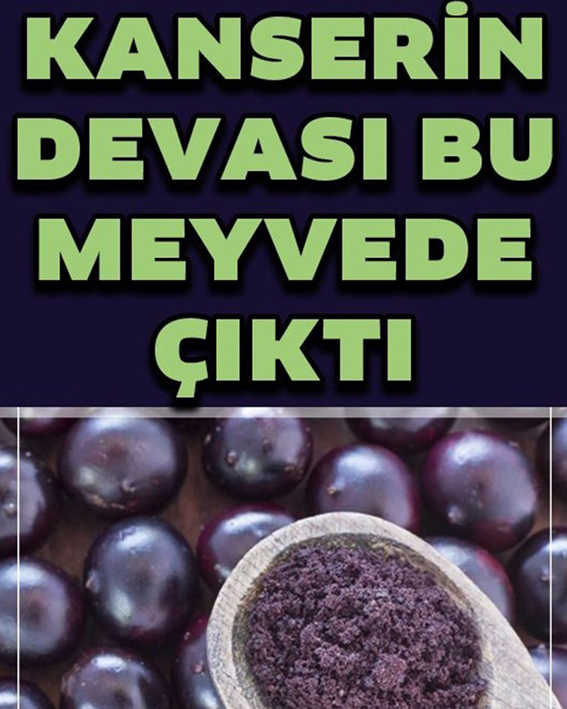 Kanserli Hücrelere Saldırıp Yok Ediyor - 1
