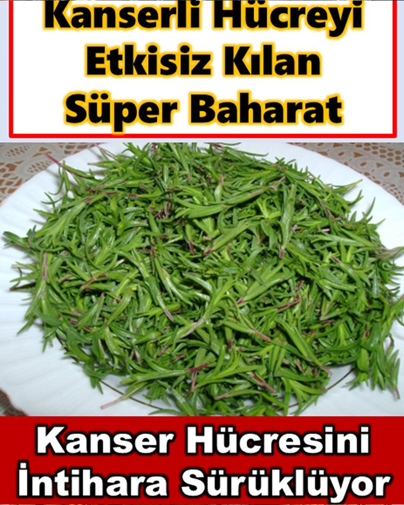 Hücreyi etkisiz kılan mucize baharat - 1