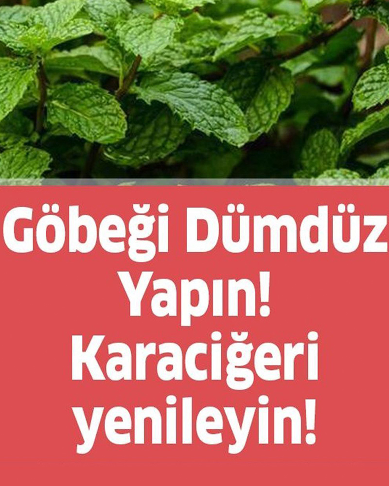 Göbeği Dümdüz Yapın Karaciğeri Yenileyin - 1