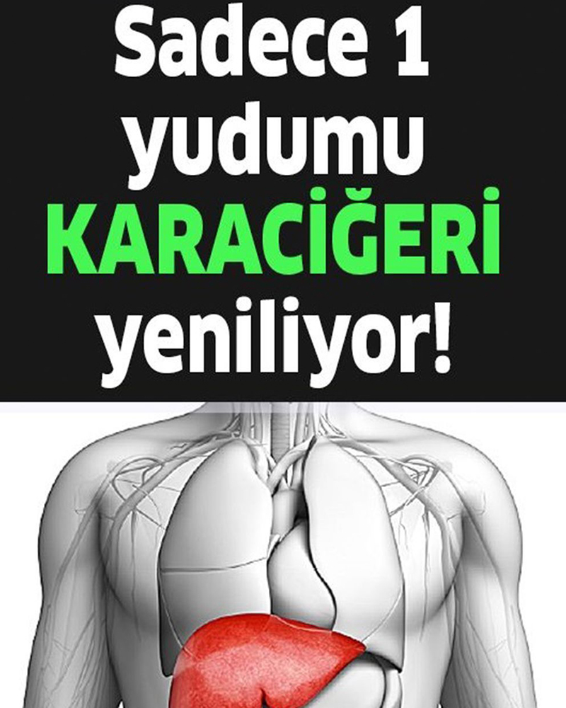 1 Yudumu Karaciğeri Yenilemeye Göbeği Dümdüz Yapmaya Yetiyor - 1