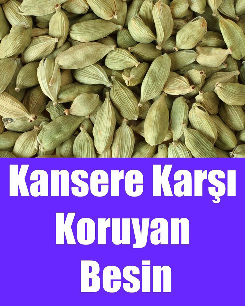 Kansere Karşı Koruyan Besin - 1