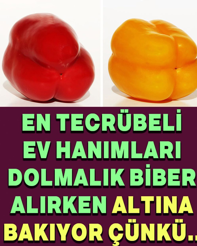 Dolmalık Biber Seçmenin Püf Noktası - 1