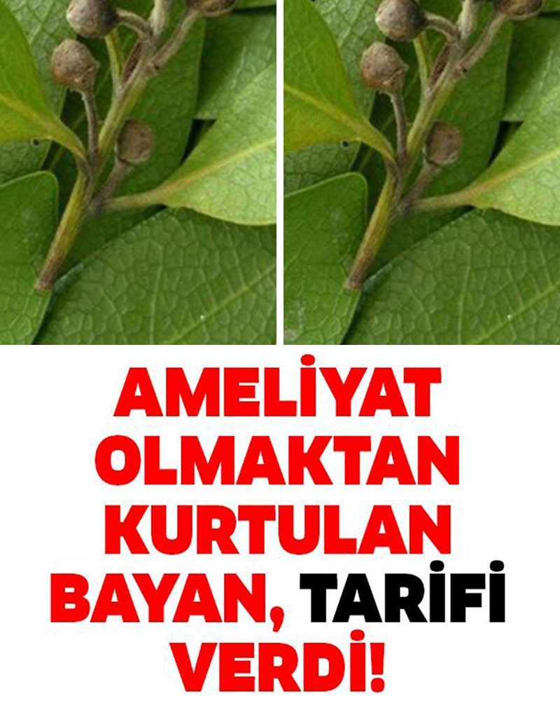 AMELİYAT OLMAKTAN KURTULAN KADIN ANLATTI - 1