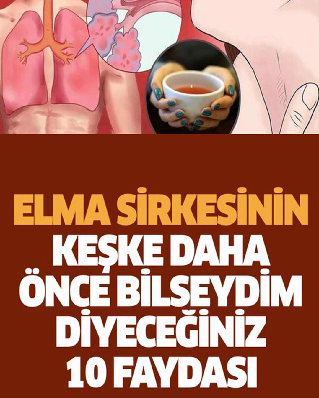 Elma Sirkesinin Keşke Daha Önce Bilseydim Dediğiniz Faydaları - 1