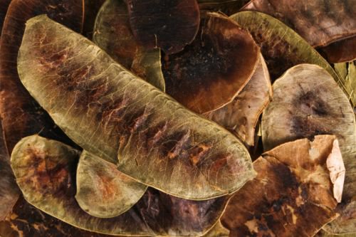 Bağırsakları çalıştırıyor etkili şekilde zayıflatıyor - 3