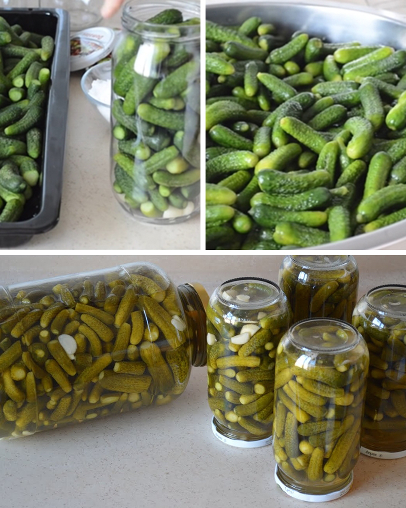 Her Sene Yaparım Asla Bozulmayan Salatalık Turşu Tarifi - 4