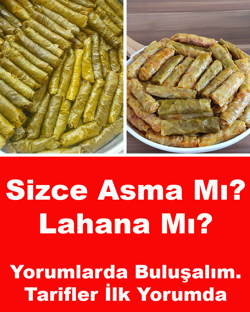 Yaprak mı, Lahana mı? Gerçek Sarma Tutkunları Buraya - 1