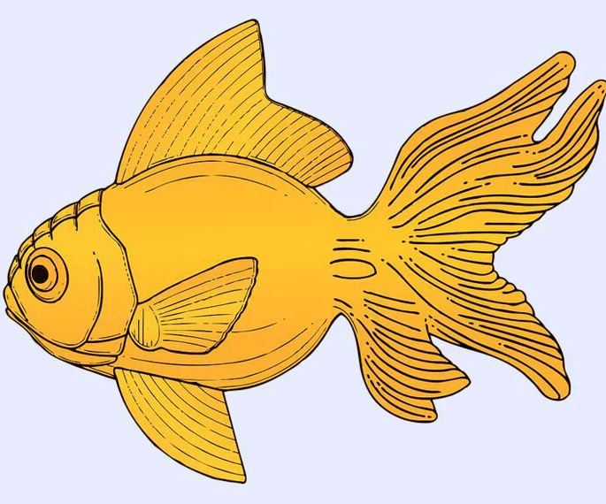 Resimde Gördüğün İlk Hayvan, Karakterini Ortaya Çıkaracak - 8