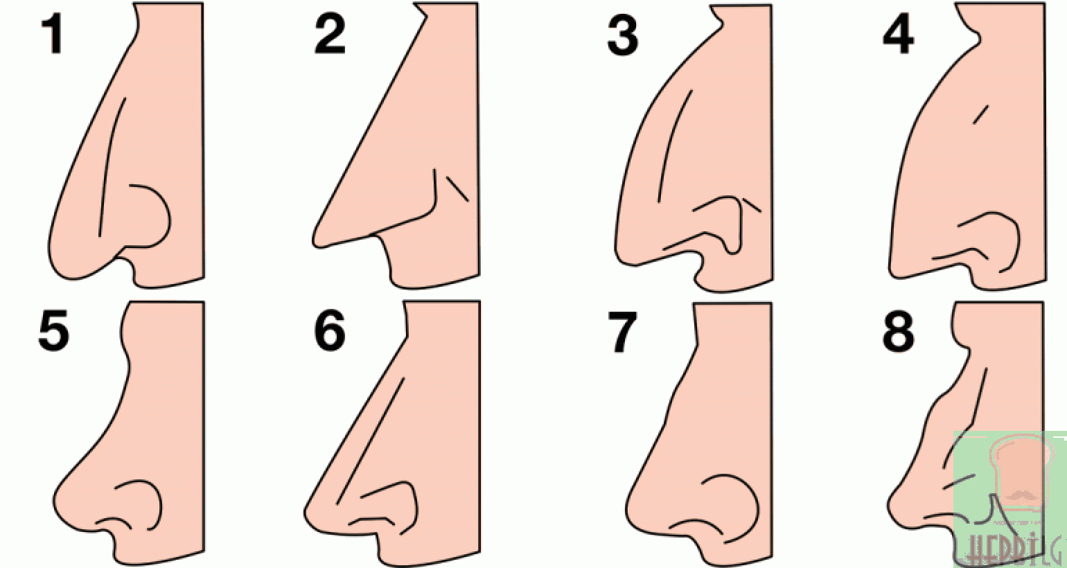 Burun Şekliniz Karakterinizi Ele Veriyor - 6