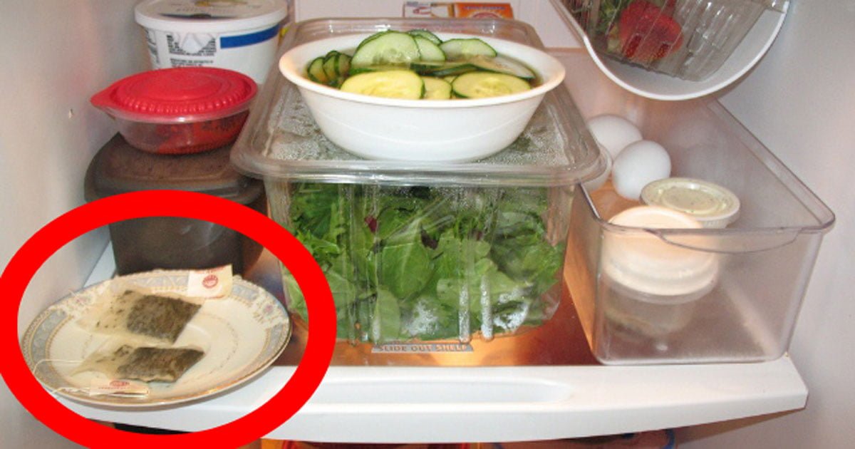 Faydasını Kime Söylediysem Buzdolabına Poşet Çay Koydu - 2