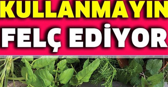 Beraber Tüketmeyin Felç Edebiliyor	