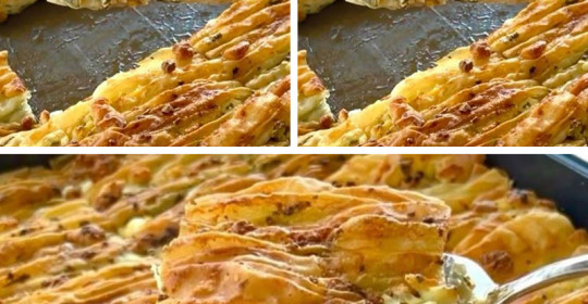 Pile Pile Lezzet Akordiyon Börek Tarifi