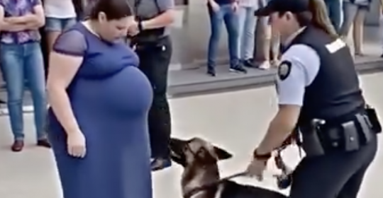Köpek her gün hamile kadının karnına bakıp havlıyordu
