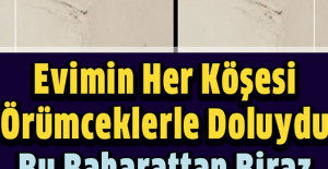 Evimin Her Köşesinde Örümceklerle Doluydu