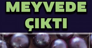 Kanserli Hücrelere Saldırıp Yok Ediyor	