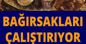 Bağırsakları çalıştırıyor etkili şekilde zayıflatıyor