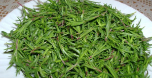 Hücreyi etkisiz kılan mucize baharat