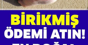 Birikmiş Ödemi Atmanın En Doğal Çaresi