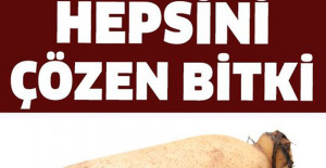 Bu Bitki Mide Sorunlarının Hepsini Çözüyor	