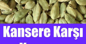 Kansere Karşı Koruyan Besin