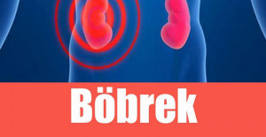 Böbrek Hastalığının 8 Belirtisi