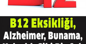 B12 Vitamini Bolca Kapsayan Yiyecekler