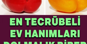 Dolmalık Biber Seçmenin Püf Noktası