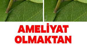 AMELİYAT OLMAKTAN KURTULAN KADIN ANLATTI