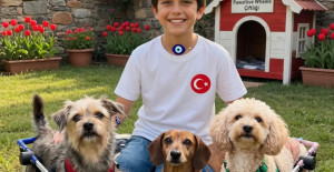 Köpek Barınağı
