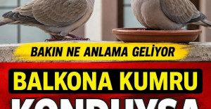 Pencereye Kumru Konması Ne Anlama Gelir