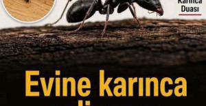 Eve Karınca Gelmesinin allahın 7 işareti nedir
