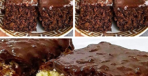 Borcamda Aile Boyu Çikolata Kaplı Mozaik Kek Tarifi