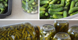 Her Sene Yaparım Asla Bozulmayan Salatalık Turşu Tarifi