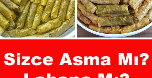 Yaprak mı, Lahana mı? Gerçek Sarma Tutkunları Buraya