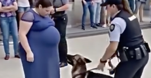 Köpek her gün hamile kadının karnına bakıp havlıyordu