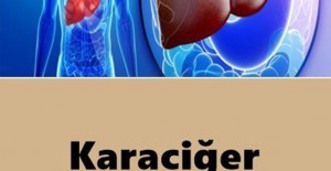 Karaciğer Yağlanmasından Kurtulun