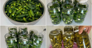 Erimeyen Kornişon Turşu Tarifi