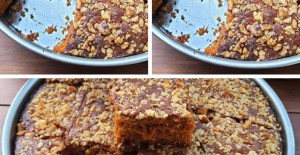 Şekersiz Pamuk Kek Tarifi