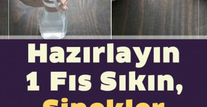 Hazırlayın Bir Fıs İle Bütün Sinekler Sizden Uzaklaşsın