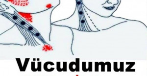 Vücudumuz B12’ye İhtiyacı Olduğunu Böyle Anlatır