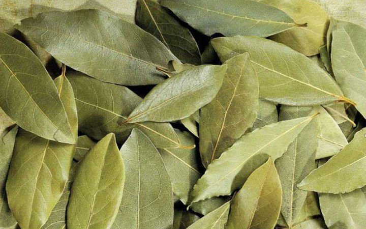 AMELİYAT OLMAKTAN KURTULAN KADIN ANLATTI - 2